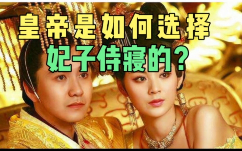 手机游戏 后宫_手机游戏 后宫_手机游戏 后宫