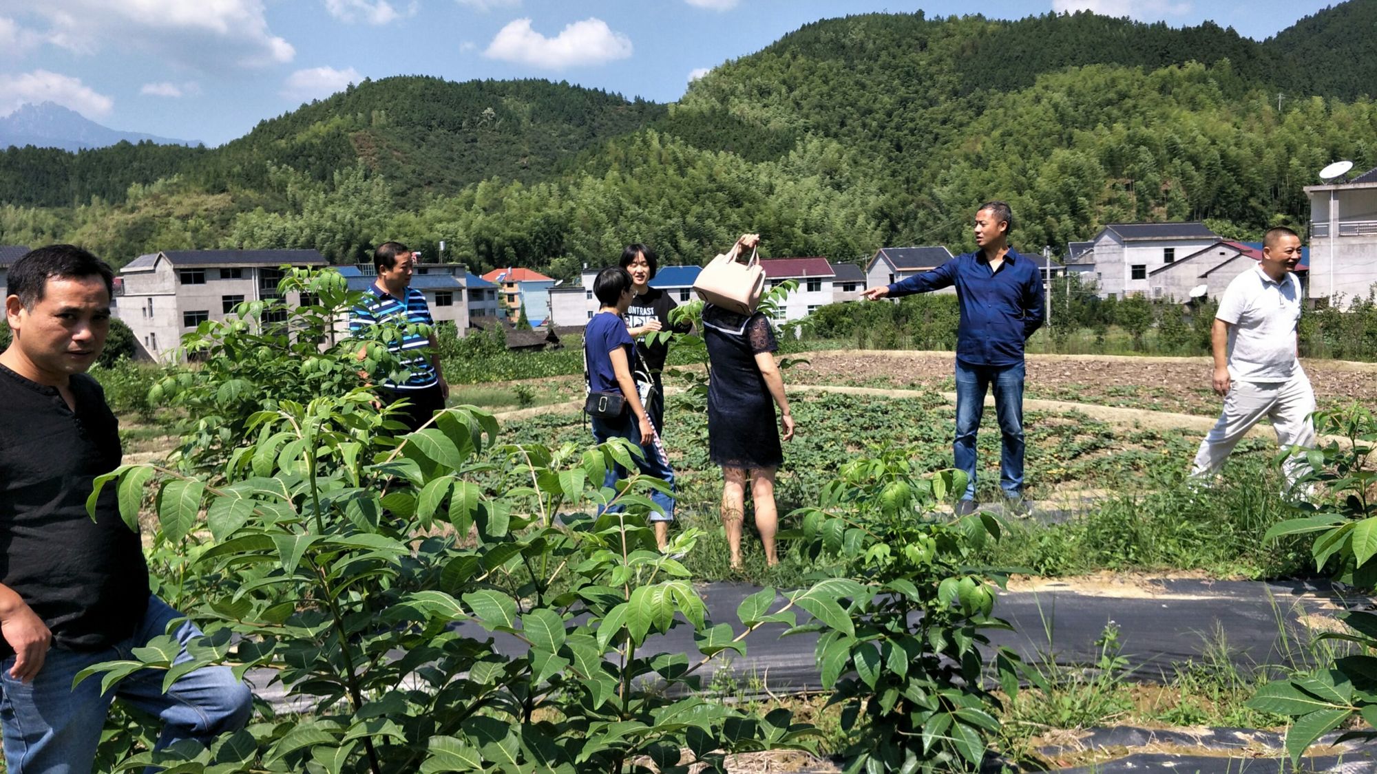 游戏种田类手机推荐_种田类游戏手机游戏_种田游戏手机