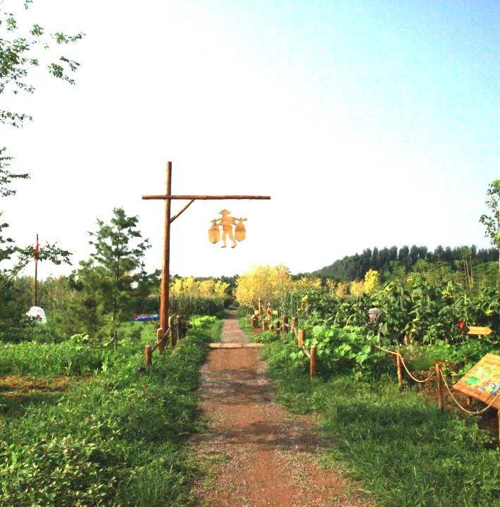 田园种植手机游戏破解版_种植田园手机游戏_田园种植手机游戏大全