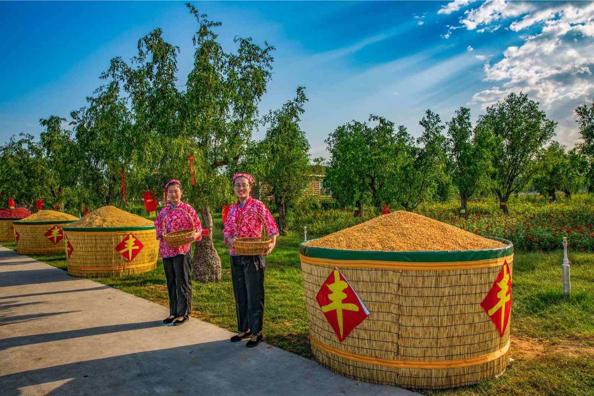 索恩梅克_索恩照明_索恩