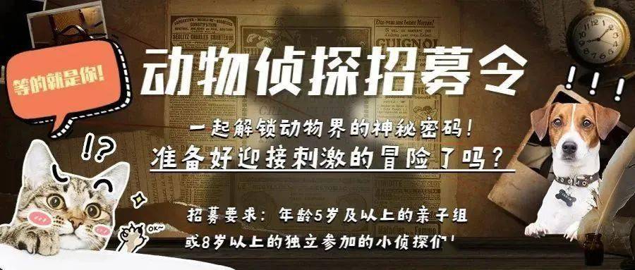 名侦探柯南漆黑的追踪者_名侦探柯南漆黑的追踪者_名侦探柯南漆黑的追踪者