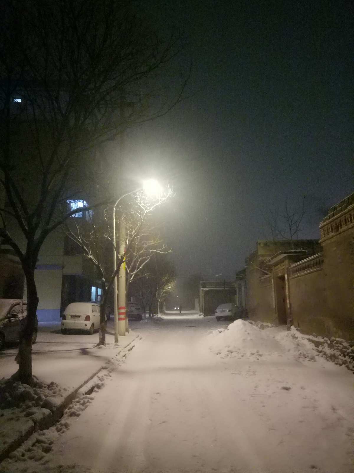 夜道雪_夜道雪_夜道雪