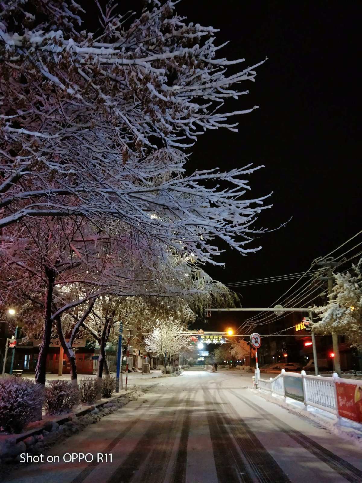 夜道雪_夜道雪_夜道雪
