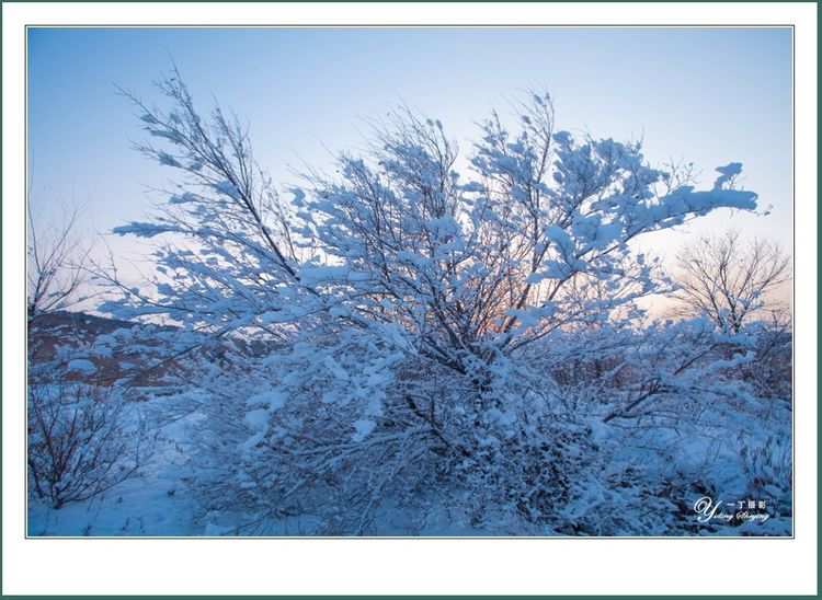 雪音为什么背叛夜斗_雪音_雪音生前发生了什么