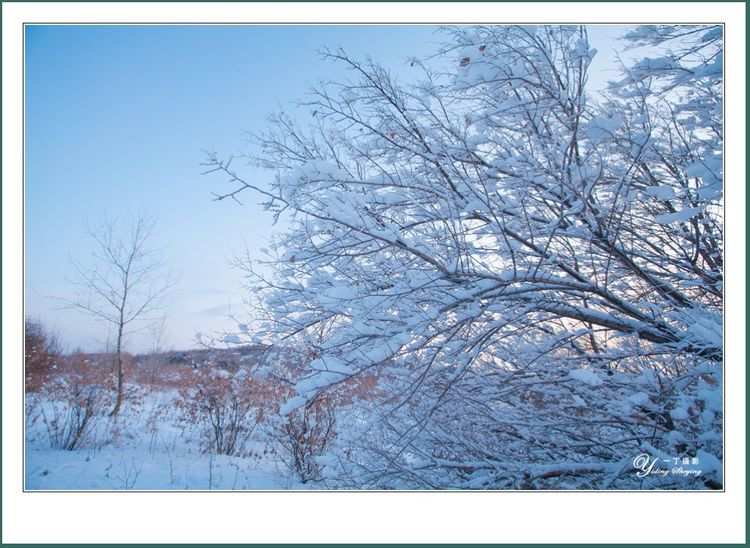雪音生前发生了什么_雪音_雪音为什么背叛夜斗