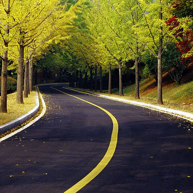 蓝蓝路是什么梗_b站蓝蓝路有多吓人_蓝蓝路表情包