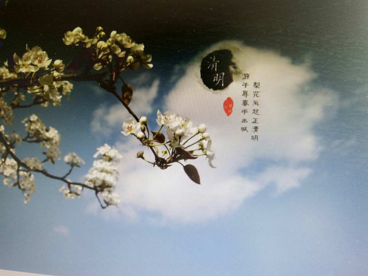 清明图片_清明图片大全高清_古诗清明图片