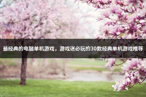 为什么电脑下载的手游玩不了_电脑怎么下载手游不用数据线_手机下载游戏传电脑里没有