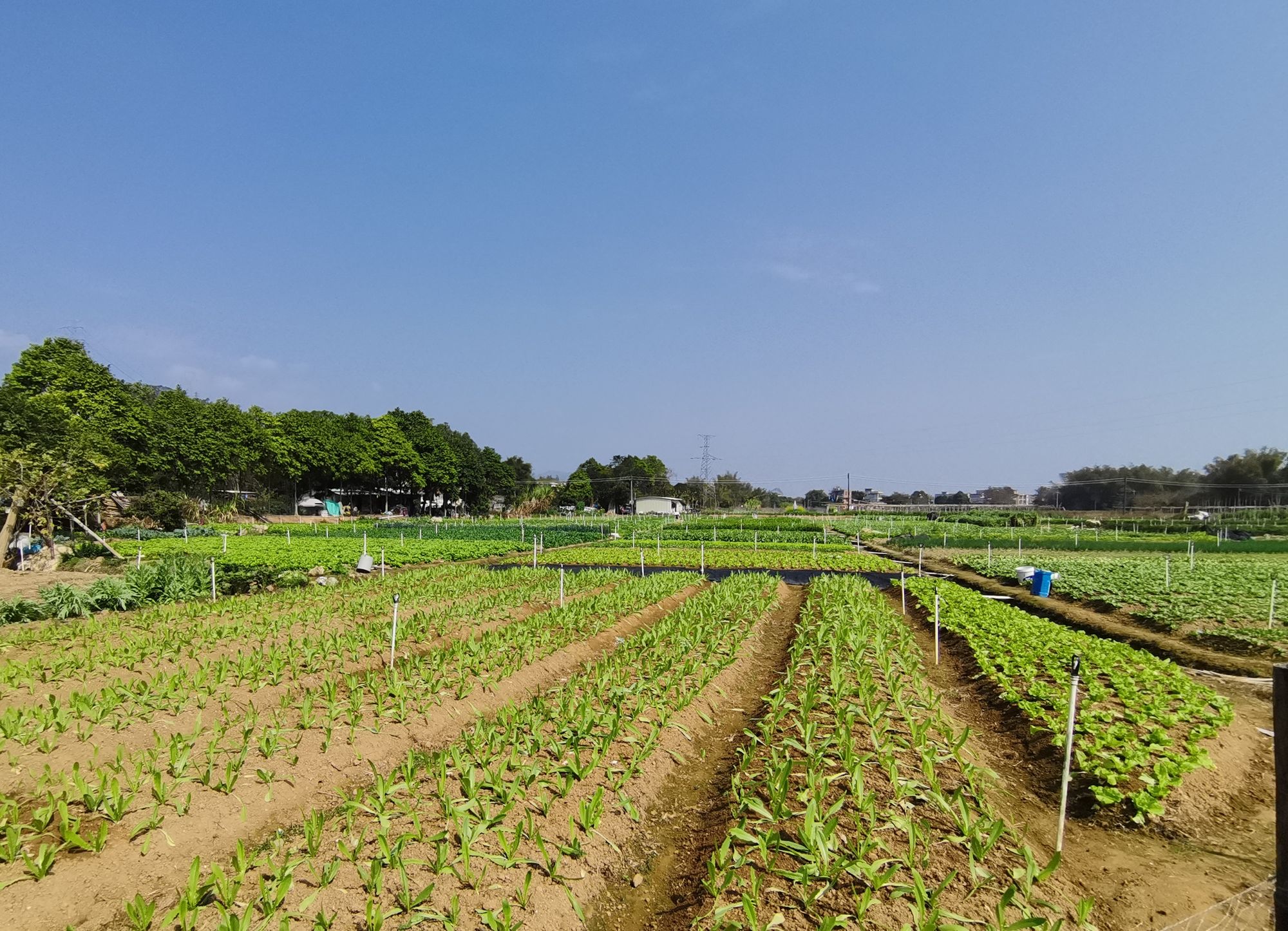 种田类手机游戏下载免费_种田类手游排行榜_种田游戏排行