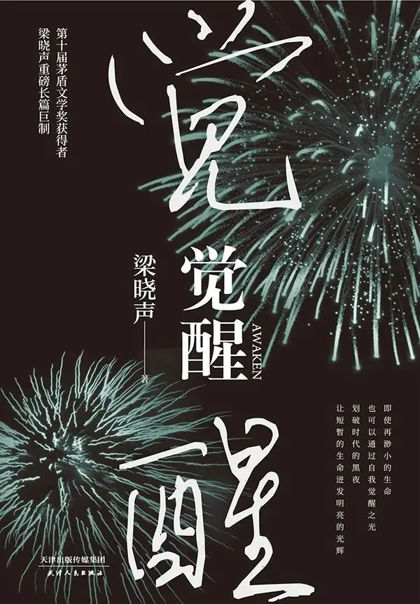 谜之女主角x-谜之女主角X：神秘星球的创作女王