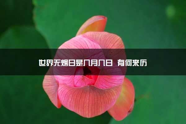 乙巳年怎么读_乙巳是什么年份_乙巳年是哪一年