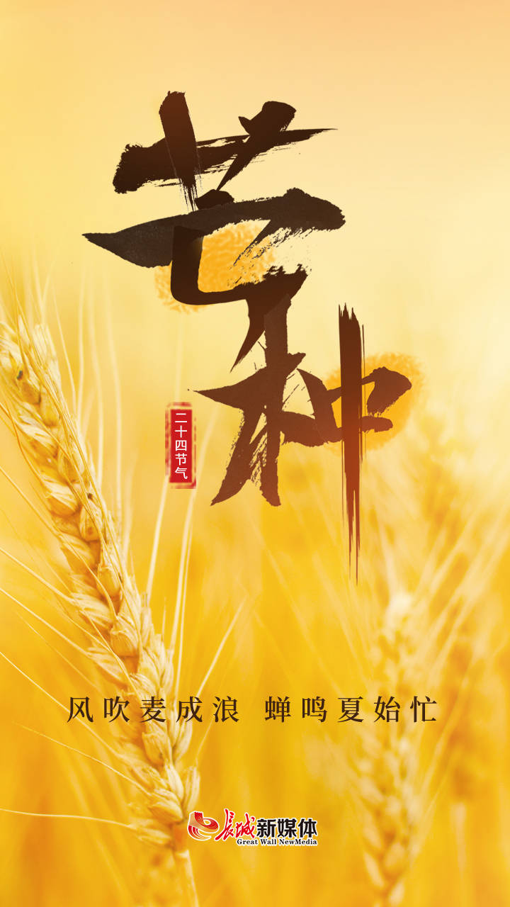 芒种的代表花是什么_芒种象征_芒种代表人生的寓意