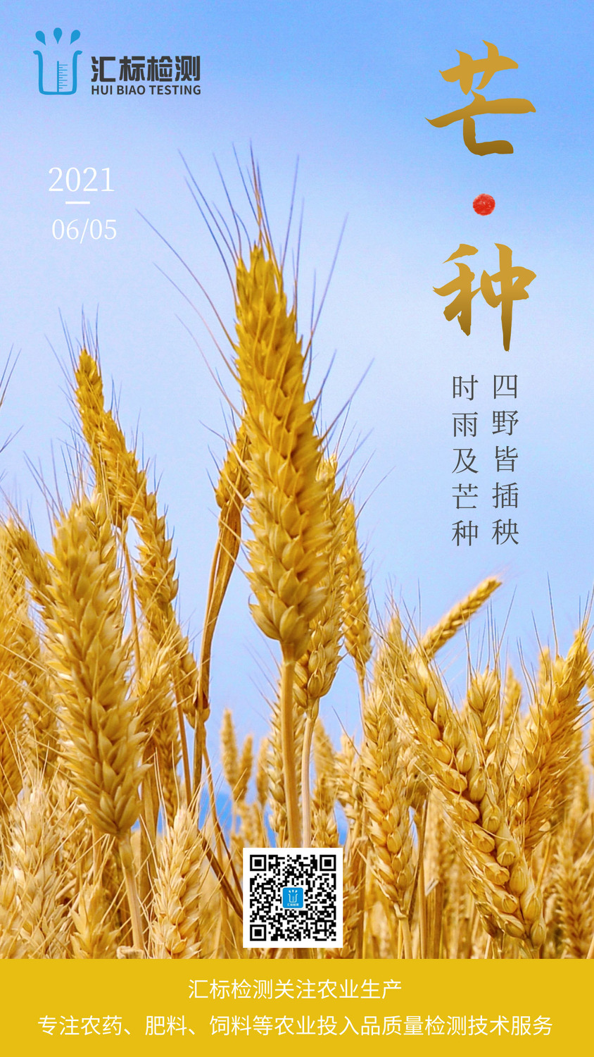 芒种象征_芒种的代表花是什么_芒种代表人生的寓意