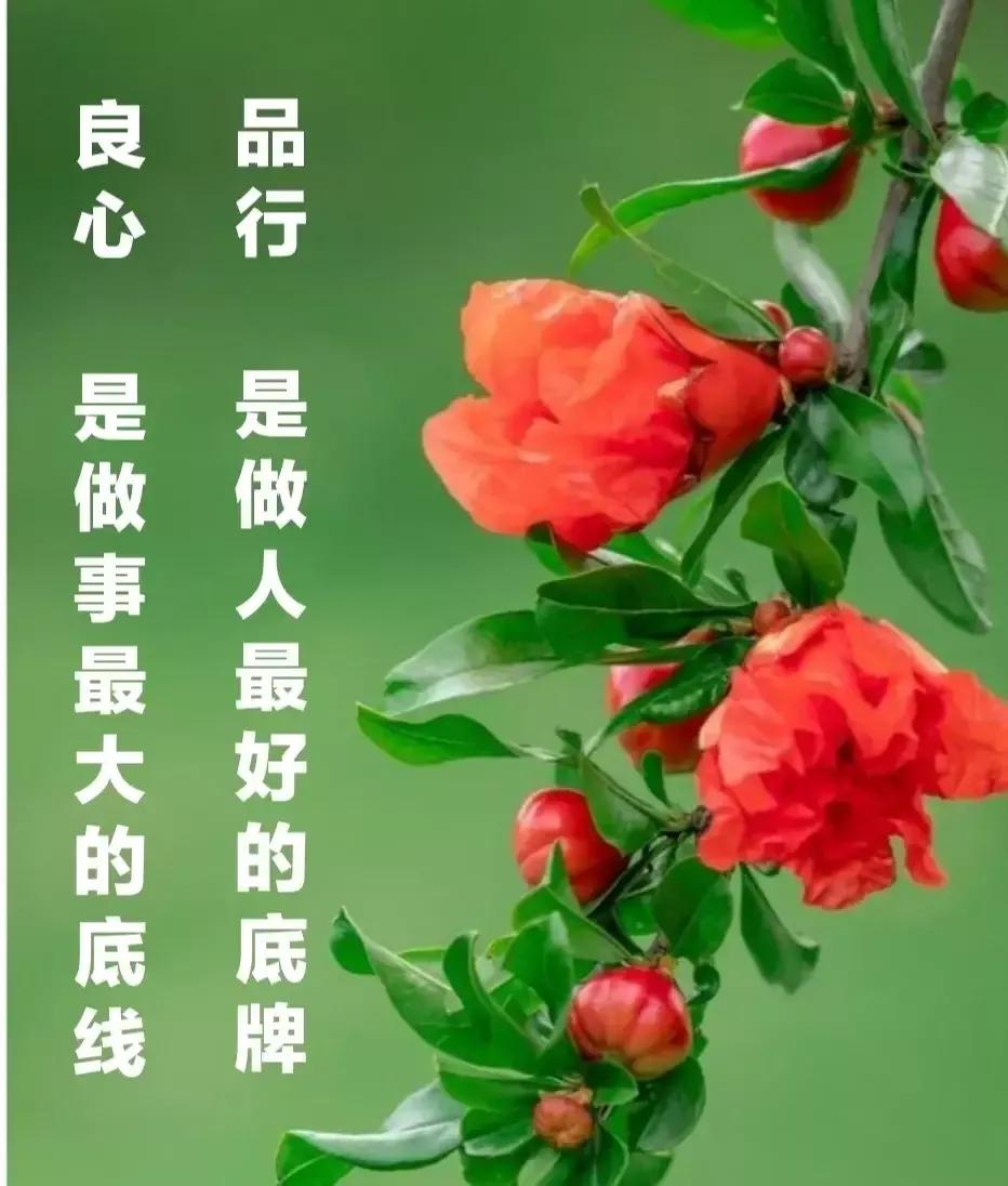 超出一行显示省略号_超出显示省略号只针对纯文本吗_超出显示省略号和展开