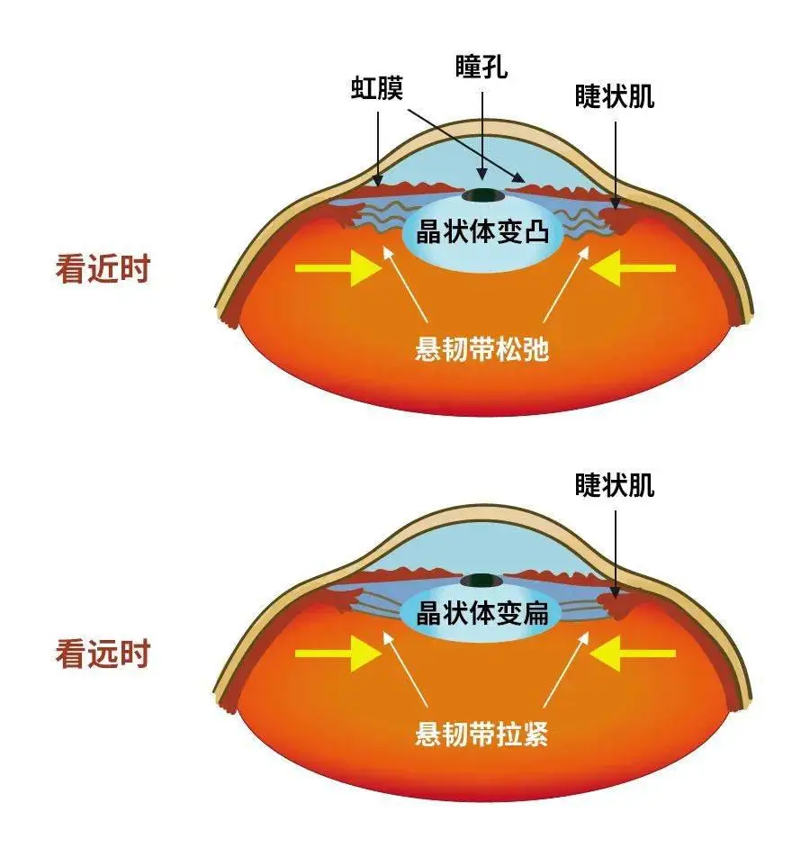 杀生bd_杀生BD下载_杀生不好为什么会很有钱