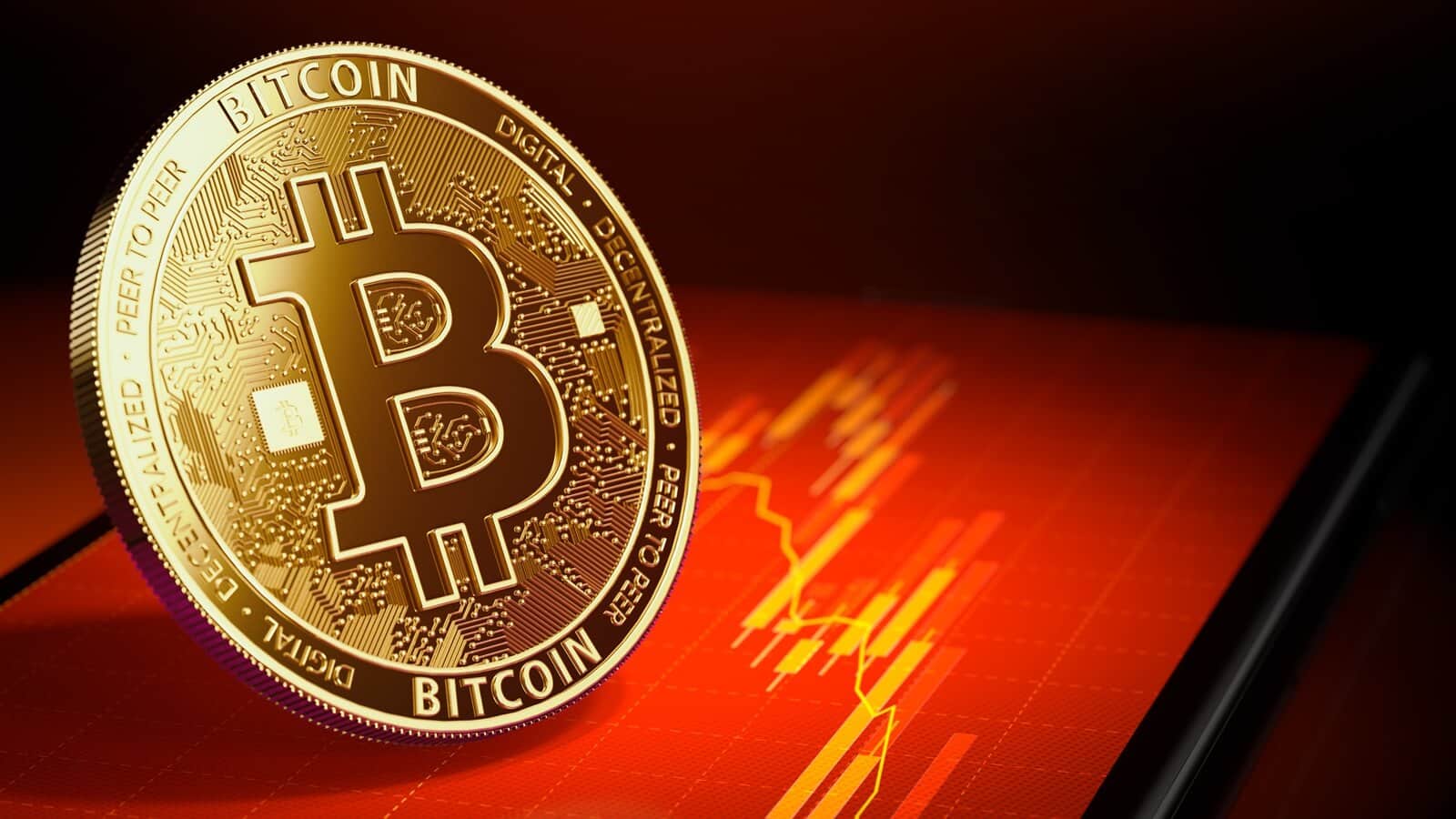 钱包又叫什么包_冷钱包是什么意思_钱包俗称