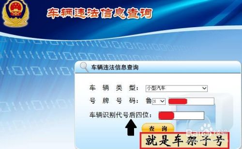 输入车牌号看效果-车牌号背后的秘密：输入车牌号，探寻惊喜与违章记录
