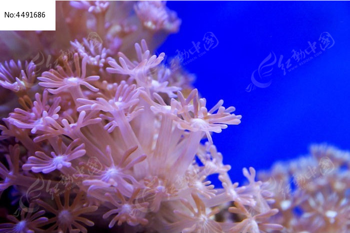 压缩文件目录_手机压缩包游戏目录在哪_压缩目录下的所有文件