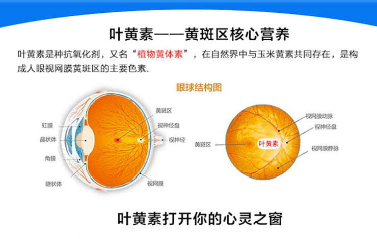 手机游戏染色_染色手机游戏推荐_染色游戏学生作品