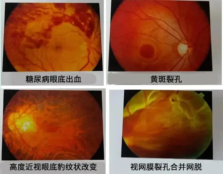 染色游戏学生作品_手机游戏染色_染色手机游戏推荐