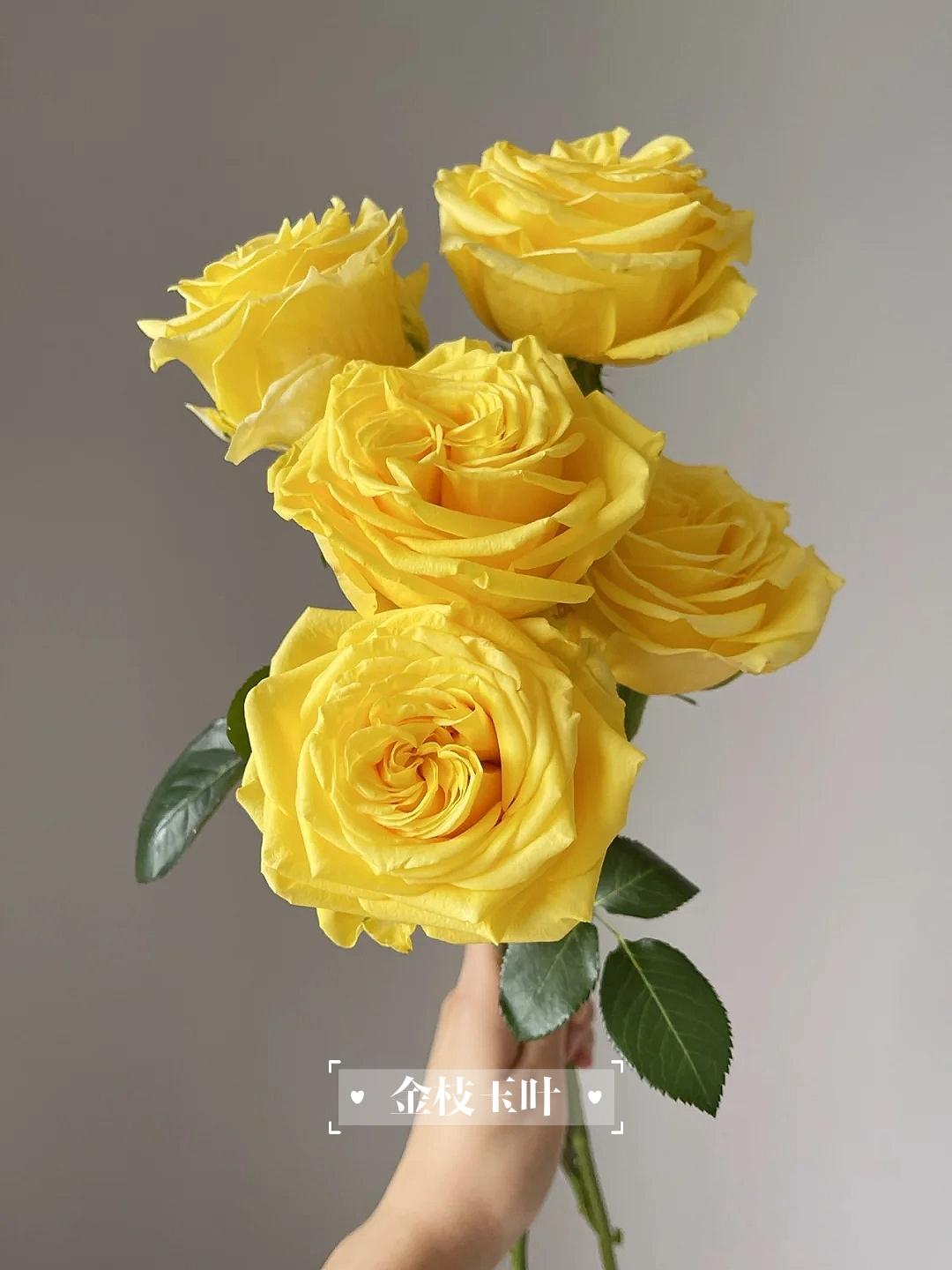 花语程行花小楼程锦衣图片_花语程行程锦衣黑化_花语程行之程锦衣的身世