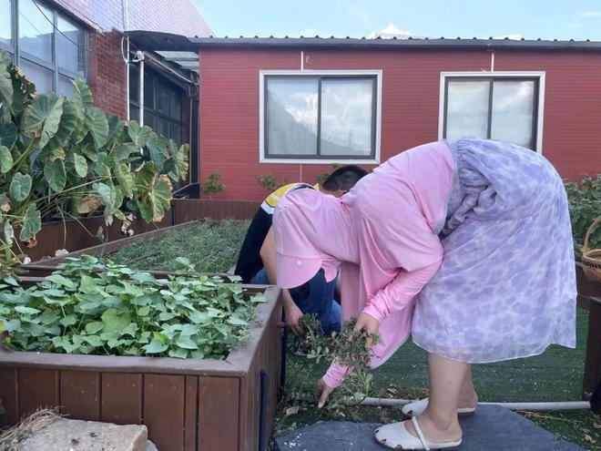 除草小游戏_除草软件下载_手机游戏除草