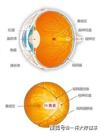 手机一打游戏感觉有水-玩手机游戏为何总有水感？原来是这个原因