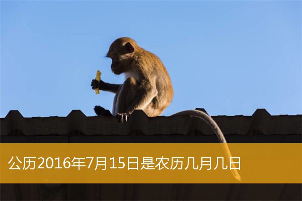 黄历查询2013年日历表_黄历2013年黄道吉日查询_2013年7月31日黄历
