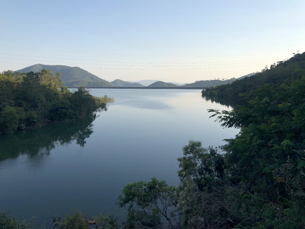 池面是什么意思日语_池面_池面日语