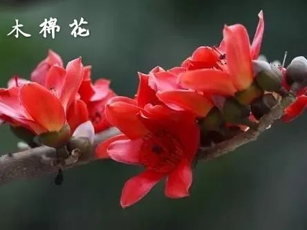表情手机游戏软件_手机游戏对表情_表情包手游