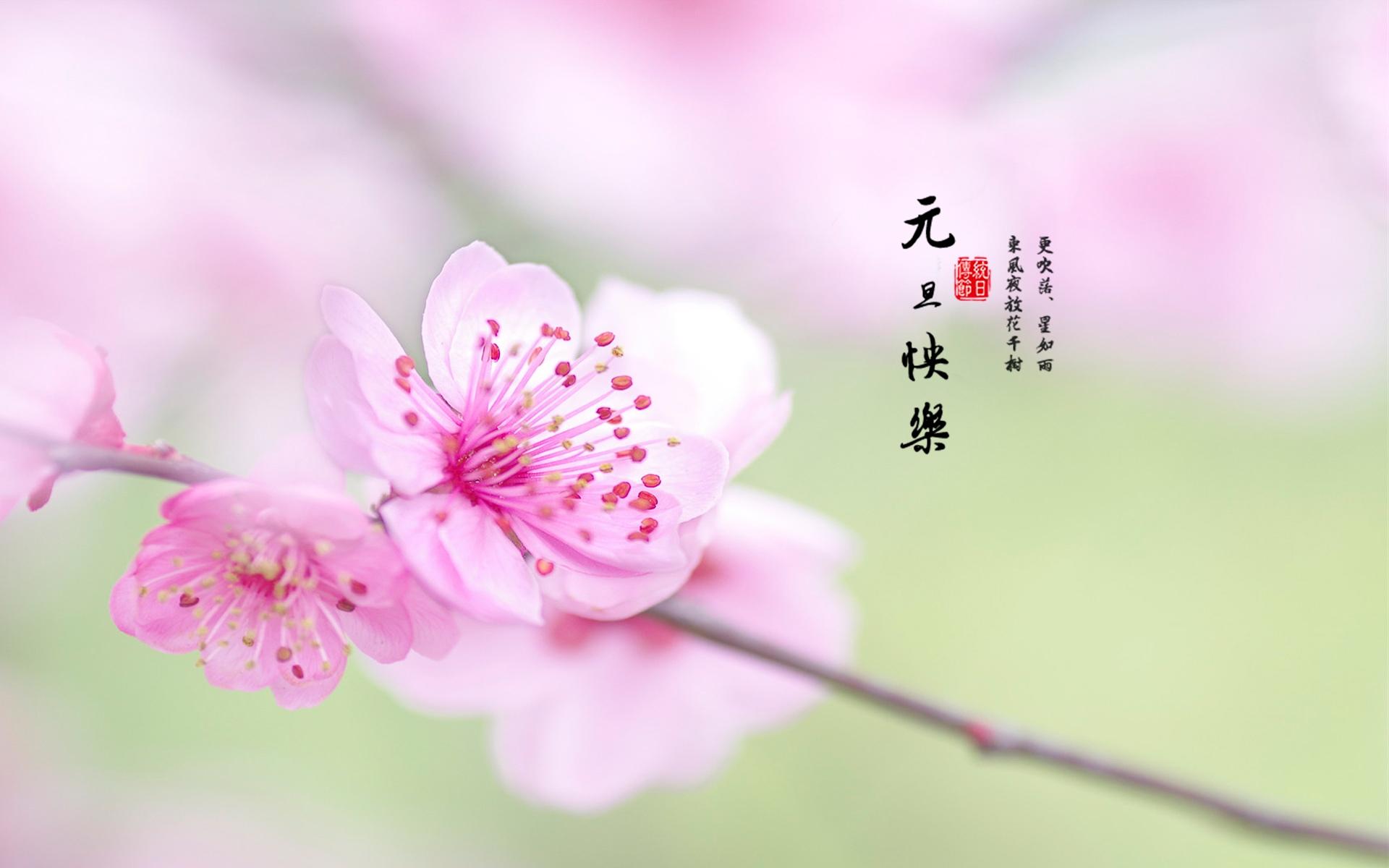 节日每年都有陪你过节的人吗_每年的节日_每年放假的节日