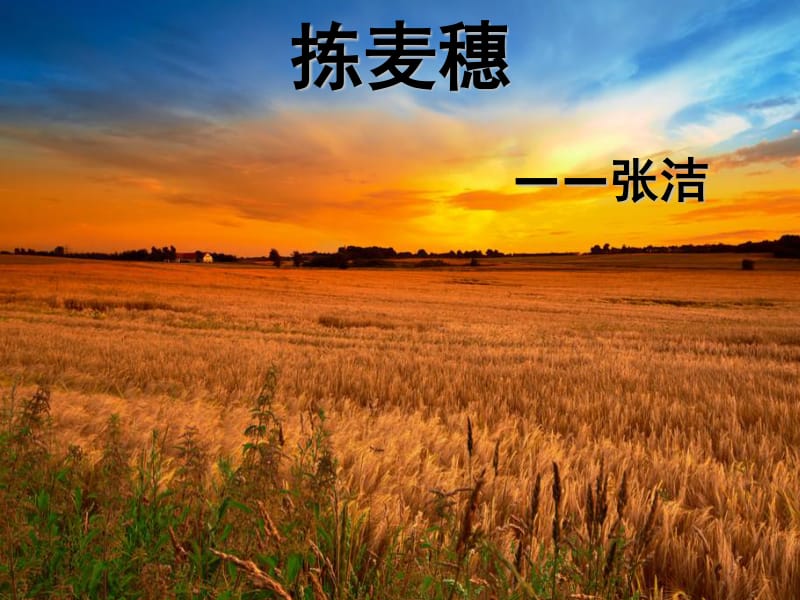 瑶玲啊瑶玲瑶兰_瑶玲啊瑶玲下载_瑶玲啊瑶玲