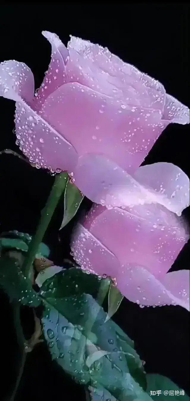 大寒之后江苏开启极寒模式_大寒之后还会冷多久_大寒之后