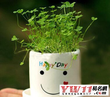 选名字的软件_取名字的小游戏_手机游戏名字怎么选字