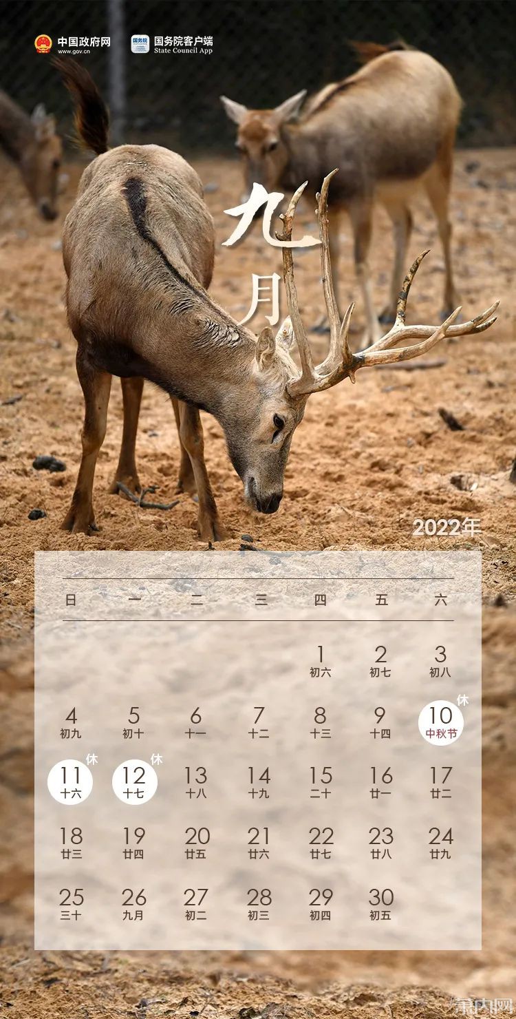 2022年4月16日_外国生产日期怎么看日月年_月年2023年