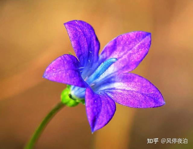 手机游戏危险边缘_危险边缘游戏_危险边缘ibm