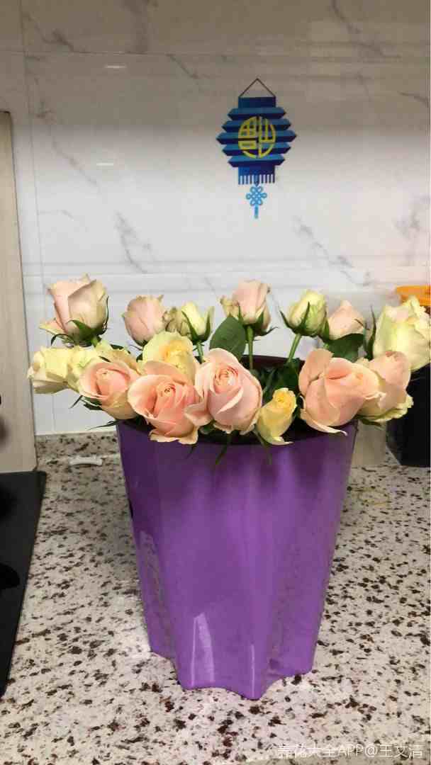 花束般爱情讲的啥_花束般的爱情_花束般的恋爱语录