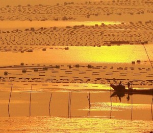 游生梦死_游生梦死翻译_游生梦死歌词