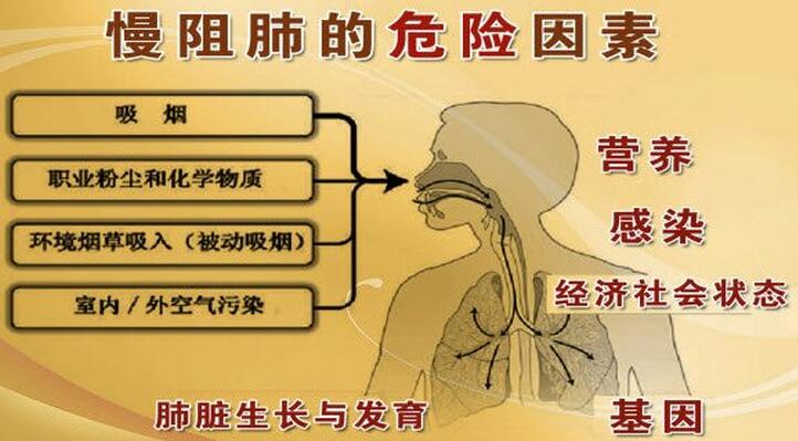 手机烟枪游戏下载_烟枪papyrus手机版下载_烟枪下载地址