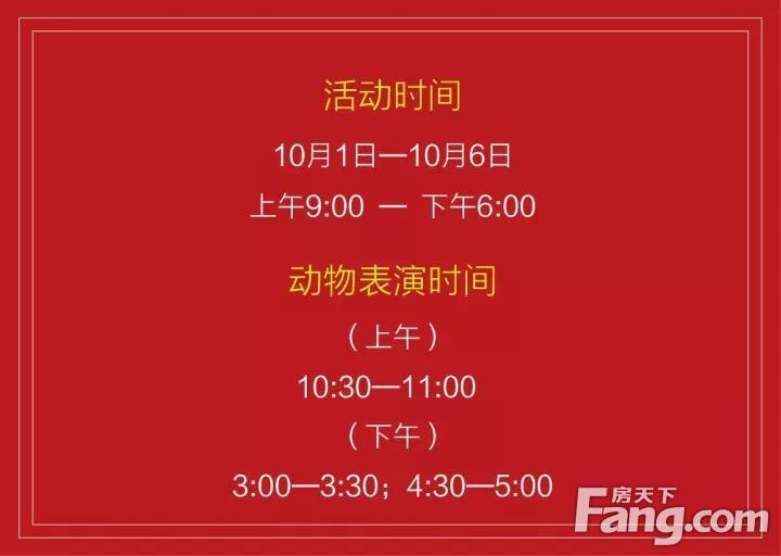 拍鸟的设备_拍摄鸟类的相机_手机拍动物世界的鸟类游戏