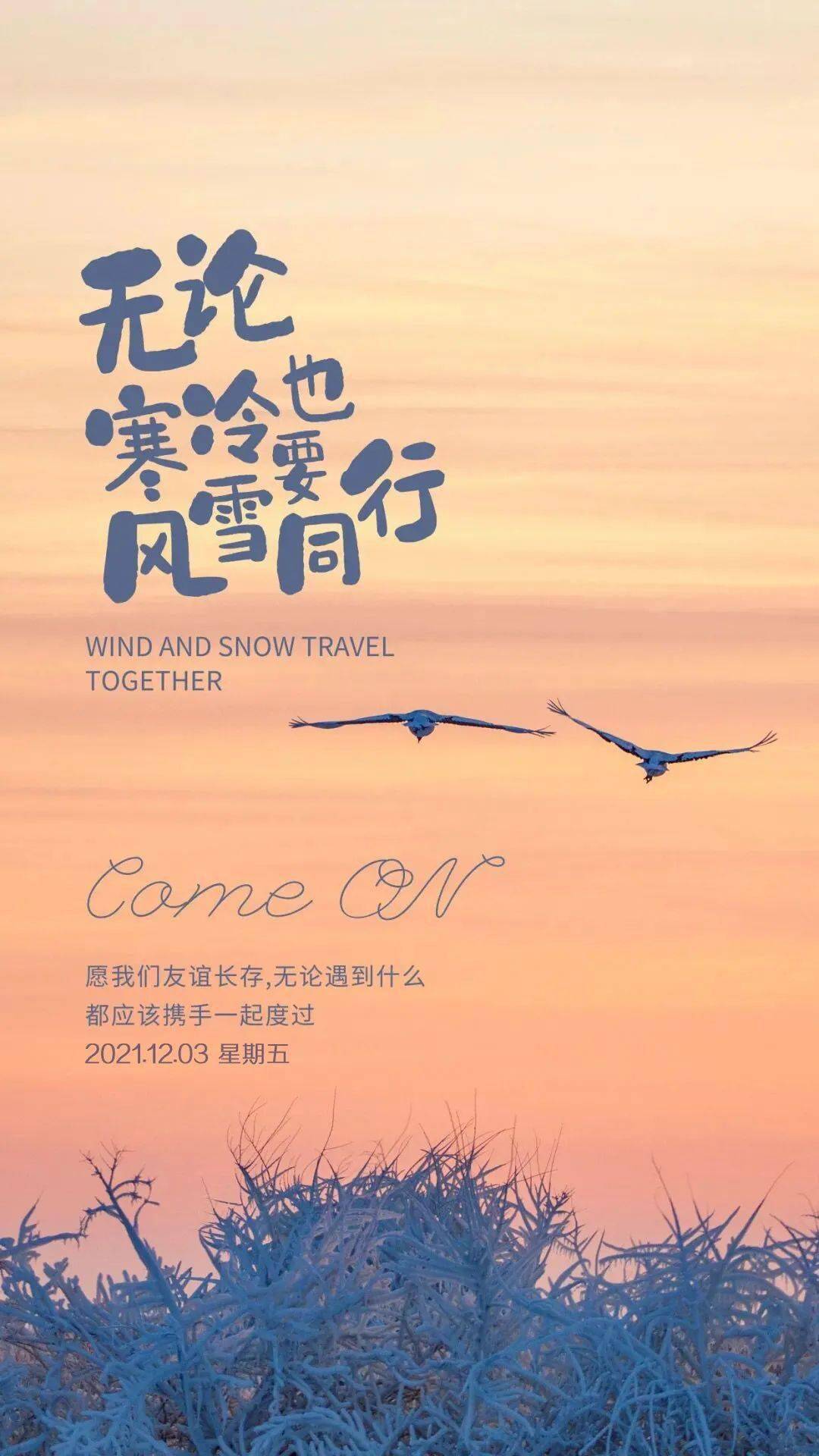 2022年12月1日_月年2023年_外国生产日期怎么看日月年