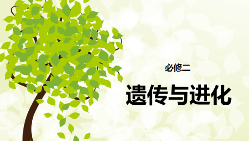 野上幸太郎：点亮屏幕的勇气与希望象征，战斗与友情的珍贵课程