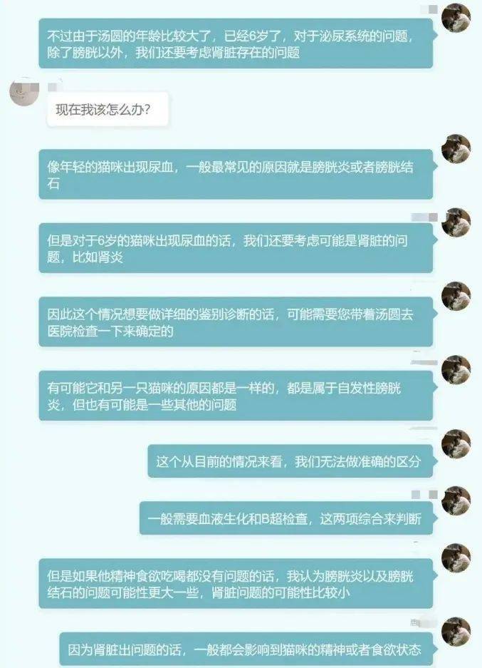 唐爆爆_爆唐手杰克日本_爆唐果黑料的是谁