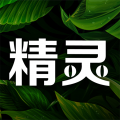 精灵之泉安卓版 精灵之泉安卓版
