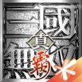 真三国无双霸安卓版 真三国无双霸安卓版
