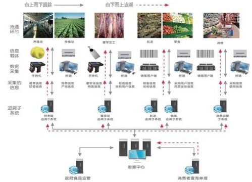 免费小说大全追书 