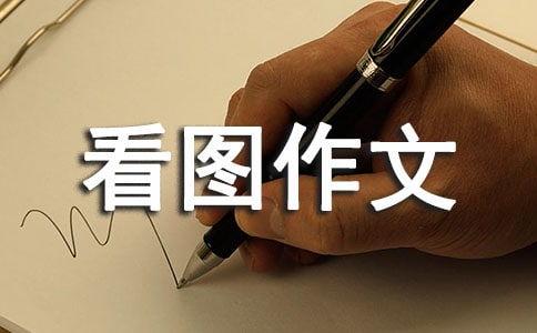 捉迷藏游戏的作文,欢乐与智慧的童年游戏