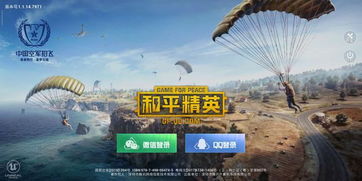和平精英游戏皮肤