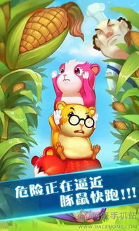 豚鼠游戏,揭秘生存挑战背后的心理博弈
