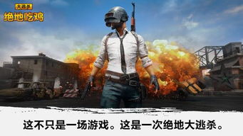 下载吃鸡游戏,揭秘热门吃鸡游戏下载攻略与玩法解析